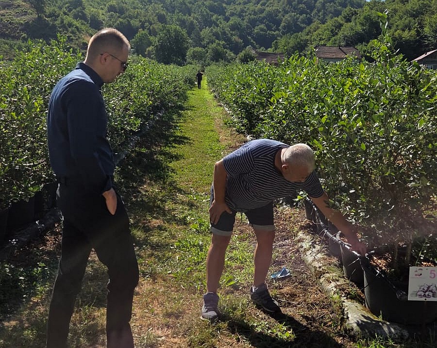 Ministar poljoprivrede, vodoprivrede i šumarstva ZDK posjetio plantažu borovnice u Visokom