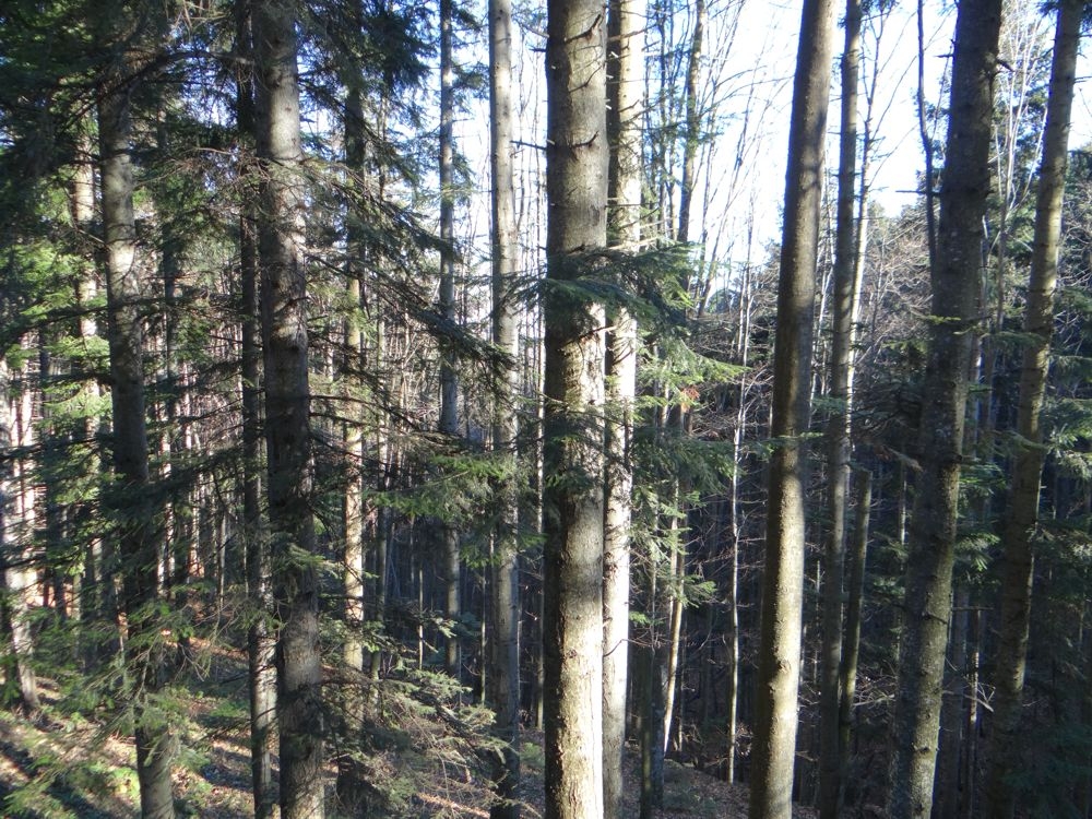 DODIJELJENA SREDSTVA ZA EKOLOGIJU