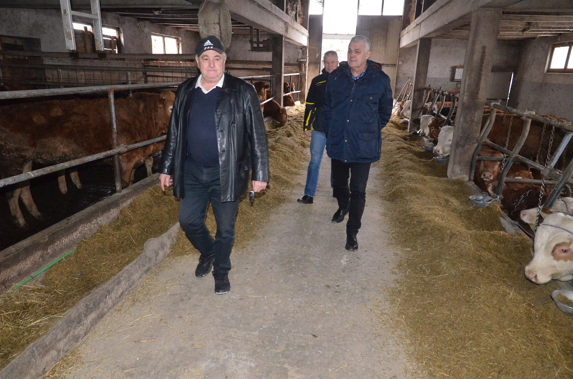 MINISTAR MARIĆ POSJETIO UZGAJIVAČE GOVEDA U ZAVIDOVIĆIMA, ŽEPČU I MAGLAJU