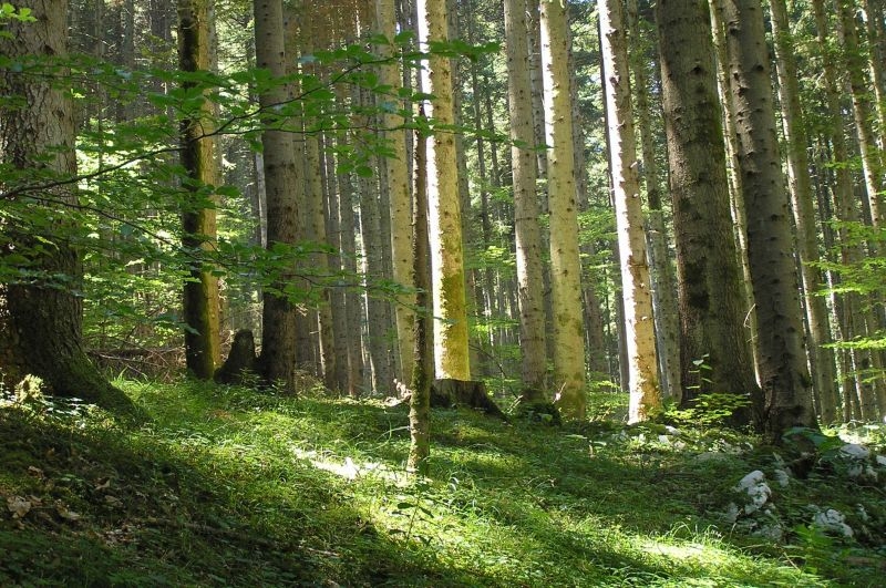 UPOZORENJE GRAĐANSTVU