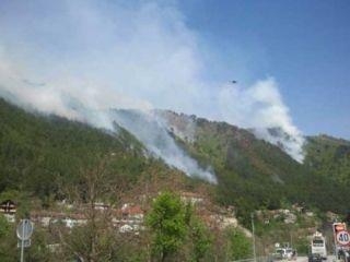 Oprez pri proljetnom čišćenju zemljišta