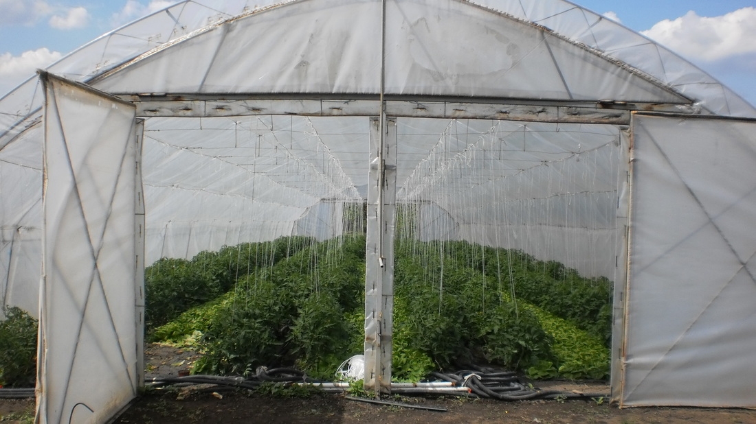 Poljoprivrednicima nova dva miliona poticaja