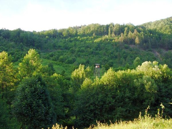 ODLUKA O DODJELI LOVIŠTA